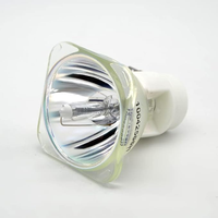 Ampoule de remplacement SIRIUS HRI 260W/SIRIUS HRI 251W pour projecteur à tête mobile, lampe blanche E27 avec base MSD 9R Platinum Sharpy 9R