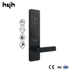 هية مقبض الرقمية بدون مفتاح الدخول الجبهة الإلكترونية الذكية جديد قفل الباب مع كلمة السر الرقمية دخول الباب الرئيسي قفل ذكي مجموعة - Product Image 2