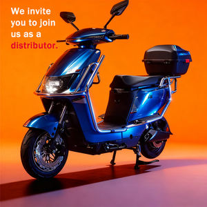 Motocicleta Eléctrica Económica de 72V y 50km/h, Batería Reemplazable de Largo Alcance, Todoterreno, con Doble Batería - Product Image 1