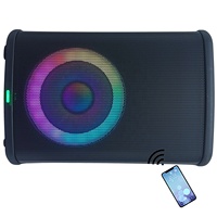 1000 W 8 "Portable professionnel Audio guitare extérieur PA système de haut-parleurs boîte de son avec batterie Rechargeable LED lumières BT Echo