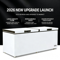 Congélateur coffre en acier inoxydable, congélateur profond 300L, ouverture par le haut, congélateur commercial pour hôtel et restaurant