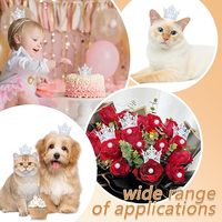 JOYWOOD-Mini couronne en alliage exquis, matériel de décoration florale, casque de piste pour enfants, décoration d'anniversaire