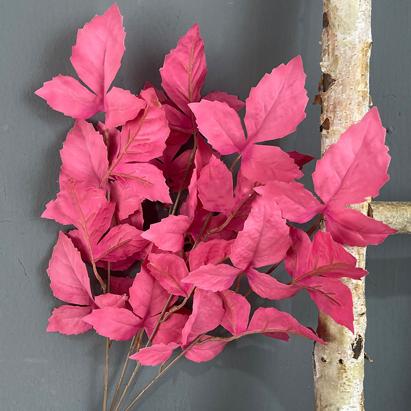 #10 chaude Rose fleur