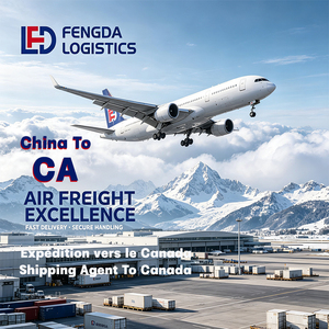 Servicio <span class=keywords><strong>de</strong></span> <span class=keywords><strong>Transporte</strong></span> Aéreo Especial <span class=keywords><strong>de</strong></span> Carga a Canadá, Aeropuerto <span class=keywords><strong>Internacional</strong></span> Pearson <span class=keywords><strong>de</strong></span> Toronto, Compañía <span class=keywords><strong>de</strong></span> Carga - Product Image 2