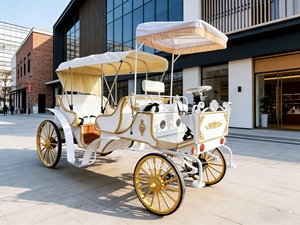 Calèche royale électrique de luxe pour 4 à 6 personnes, sculpture décorative, couleur personnalisable - Product Image 2