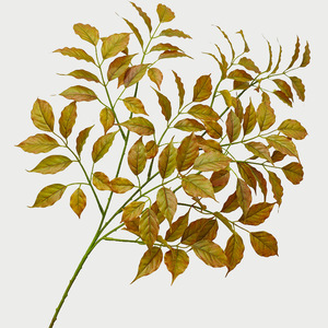 Verde artificiale all'ingrosso foglie artificiali albero di felicità foglie di lattice per la decorazione di nozze a casa - Product Image 6