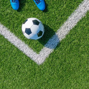 Tapis de gazon artificiel INOLP facile à installer pour football, hockey, golf, extérieur, jardin de Noël, fabriqué au Guangdong - Product Image 2