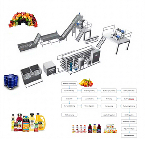 Ligne de production de jus de fruits semi-automatique industrielle ISO 9001/CE, facile à utiliser, très demandée - Product Image 1
