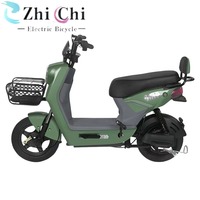 Vélo électrique sans balais 48V 350W avec couleur personnalisable |   Batterie au plomb-acide économique pour les trajets urbains, double suspension