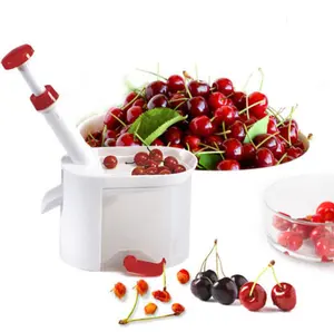Küchen helfer Kunststoff Obsts chäler Slicer Cherry Corer