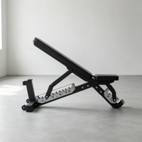 Alat Fitness Portabel Multifungsi untuk Sit Up, Angkat Beban, dan Bench Press, Dapat Dilipat, Dapat Disesuaikan, dan Dapat Digunakan dengan Dumbbell