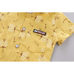 Conjunto de Ropa para Niños OEM ODM, Traje de Verano para Bebé Niño, Camisa + Pantalones, Conjuntos de Ropa para Niños - Product Image 6