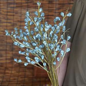 Vases de fruits d'eucalyptus Offre Spéciale de 110g fleur séchée de longue durée 100% fruits d'eucalyptus naturels <span class=keywords><strong>pour</strong></span> la décoration d'anniversaire - Product Image 2