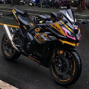 Moto sportive Pengcheng Small Ninja, bicylindre, refroidissement liquide, moteur brushless, Spring Breeze Sr250 Dragon 400cc, course sur route - Product Image 3