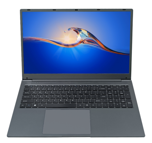 17.3-Inch Windows 10/11 Intel Celeron 5095 Quad Core Notebook Laptop with 8GB RAM and 256GB Storage New Product