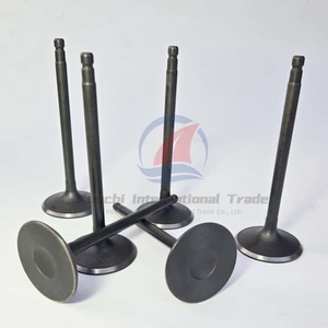 Hete Verkopende Hoge Kwaliteit Nissan Vq25 Inlaat & Uitlaat Kleppen 13202-aq800/13201-eg200/13201eg200 Vq25de Met Klepstoters - Product Image 6