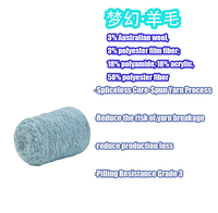 1/9NM Dreamy Wool & Polyester Fancy Yarn with Metallic Thread and Segment-Dyed Yarn for Knitted Products