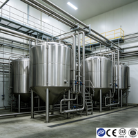 Tanque de Producción de Cerveza de Acero Inoxidable Sanitario con Certificación CE de 200L, Fabricante Personalizado