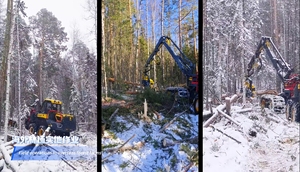 Máquina Cortadora de Árboles XUVOL, Maquinaria Forestal, Cosechadora Forestal de 600HP con Ruedas, Cosechadora de Madera, Transportadora Forestal - Product Image 3