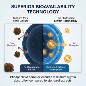 Compléments alimentaires pour le soutien du foie |   Extrait de fruit de palmier NAC, mélange de <span class=keywords><strong>vitamine</strong></span> E, zinc et sélénium |   Sans gluten Naturel |   Adulte |   Vente en gros OEM - Product Image 2