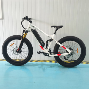 Vélo électrique tout-terrain, VTT électrique, Vélo électrique FAT, Prix du vélo FAT - Product Image 1