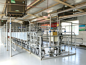 Macchina per la Mungitura a Montaggio Centrale: Protegge la Salute delle Mucche da Latte, Migliora la Qualità del Latte, Garantisce la Purezza e la Sicurezza del Latte Grezzo dalla Fonte - Product Image 2
