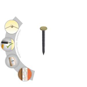 TOX Picture <b>nail</b> Home Classic with <b>brass</b> head 2.0 x 50 mm - Product Image 2