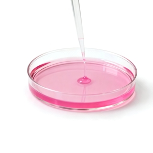 GP <span class=keywords><strong>Résine</strong></span> de <span class=keywords><strong>polyester</strong></span> insaturé en fibre de verre pré-promue pour le processus de pâte à main Réservoirs/tuyaux/bateaux en FRP - Product Image 2