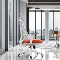 Chaise de bureau ergonomique Design moderne en maille Support lombaire à réglage automatique Certifié Classe-3 Ascenseur à gaz Hauteur réglable Chaise de bureau