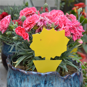 Double-Sided Yellow <b>Flower</b> Sticky Insect Traps Garden Fly Gnat Catcher Pest Control <b>Stickers</b> - Product Image 5