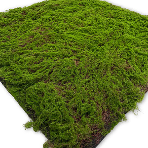 โรงงานจีนขายส่งหญ้าเทียมน้ำหนักเบาเป็นมิตรกับสิ่งแวดล้อม ผ้ามอสเทียมคุณภาพสูง ใช้ได้ทั้งภายในและภายนอกอาคาร - Product Image 3