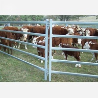 Panneau de clôture robuste en acier galvanisé pour bétail, idéal pour ranchs et fermes, avec conception portable et durable