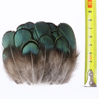Vente en gros de plumes de dinde de paon de faisan naturel (8-13cm) motifs teints pour bijoux à bricoler soi-même accessoire artisanat matériaux de montage de mouches