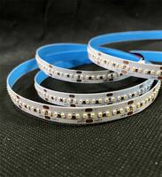 CCT SMD2216 Bande LED flexible bicolore DC12/24V Bande lumineuse LED flexible pour l'éclairage de décoration