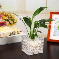 Vase en verre carré à motif glacier moderne Bougeoir carré créatif Plantes vertes hydroponiques Présentoir pour ombelle Peace Lily