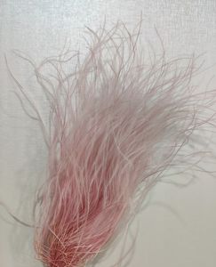 Vente chaude Ins Home Event Decor Préservé Stipa Tenuis Plume Herbe Fleurs pour Mariage et Halloween DIY Arrangements - Product Image 2