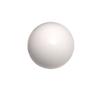 Wilden Ball 08-1080-55 Membran pumpen teile PTFE-Ventil kugel für 2 "Membran pumpe