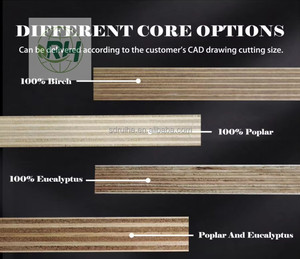 RH üretici yüksek parlak 18mm HDF kurulu melamin UV kontrplak ev mobilya için - Product Image 6