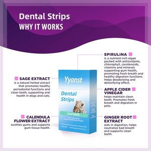 Bandes buccales dentaires pour animaux de compagnie OEM/ODM - Produits de beauté naturels et végétaliens pour une haleine fraîche et des dents saines, soutien digestif, échantillon gratuit - Product Image 5