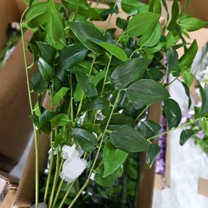 Plantas Artificiales de Látex Realistas con Diseño Nuevo, Relleno de Flores para Arreglos de Boda y Decoración de Interiores - Product Image 6