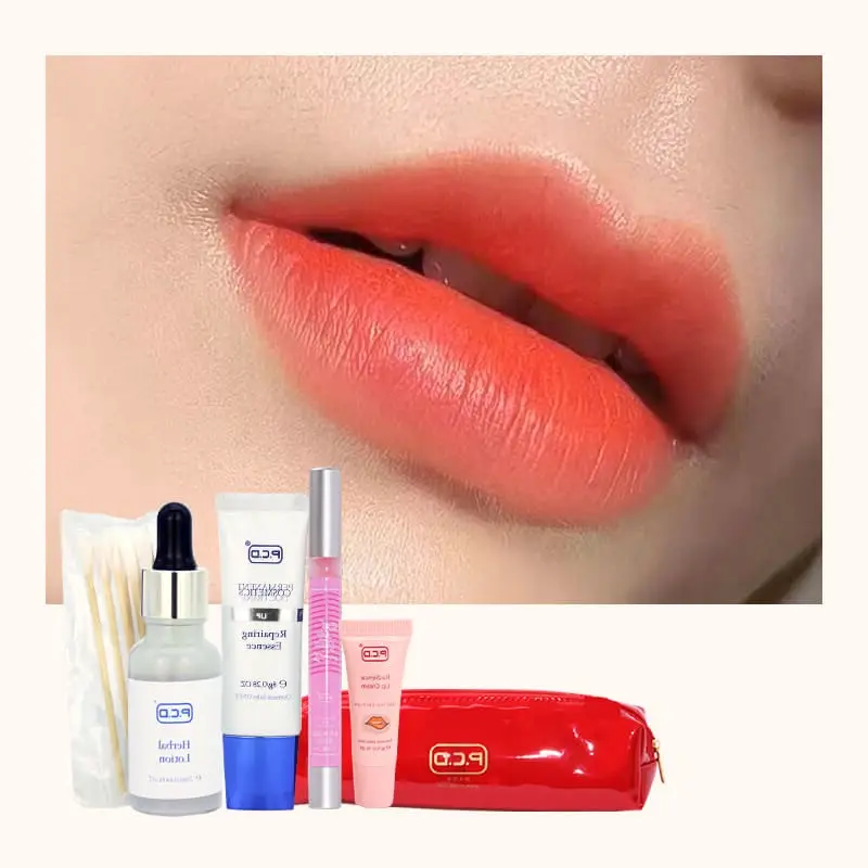 wholesale lip treatment balm Pmu lip care set tattoo aftercare kit de labios permanentes vegan shimmer gloss lip care kit