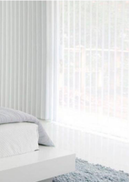 Rideaux Transparents Translucides de Style Simple pour Salon