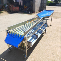 Klein Formaat Fruitgroente Sortering Sinaasappel Fruit Sortering Walnoot Olijf Sorteermachine