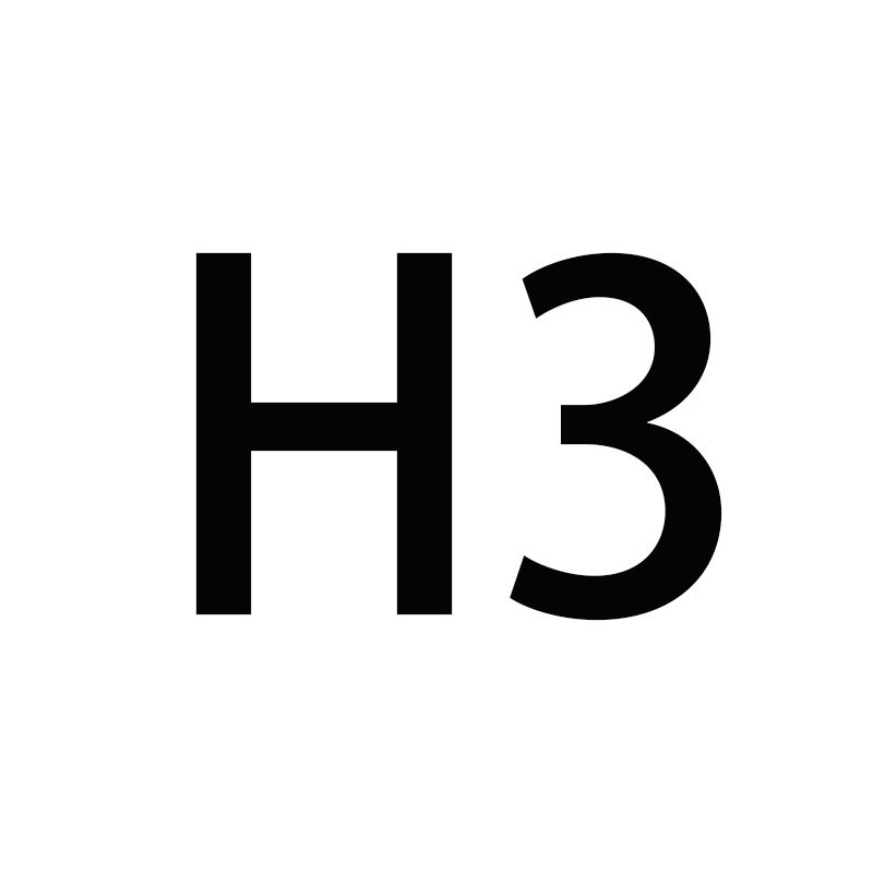 H3