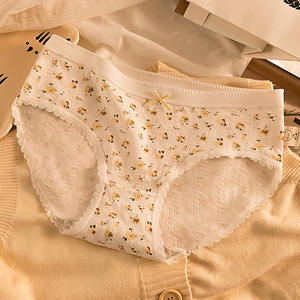 Culotte Hipster Femme Style Français Quotidienne Confortable Respirante en Coton Pur 5A Tricoté Anti-Bactérien Taille Moyenne - Product Image 3