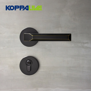 KOPPALIVE Ensemble de serrures de <span class=keywords><strong>porte</strong></span> en laiton massif pour intérieur, chambre, salle de bain, <span class=keywords><strong>cuisine</strong></span>, poignée factice pour <span class=keywords><strong>porte</strong></span> en bois - Product Image 1