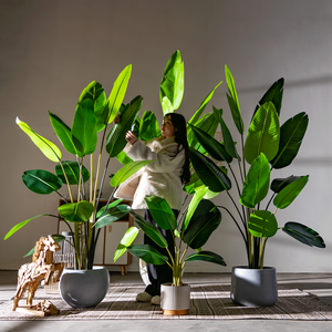 Venta <span class=keywords><strong>al</strong></span> por Mayor de Planta Artificial de Ave del Paraíso de 8 pies con 13 Troncos, Strelitzia Nicolai Realista para Proyectos Comerciales - Product Image 2