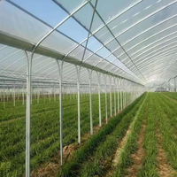 Serre Multispan à bas prix pour légumes Serre personnalisée Serre agricole rentable de qualité supérieure à vendre