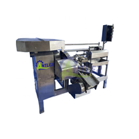 Machine à éplucher automatique en acier inoxydable pour fruits, citrouille, ananas, pastèque, éplucheur de légumes, éplucheur de mangue