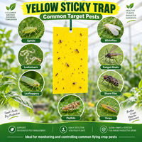 Pièges collants jaunes 17*25 pour pucerons, moucherons, thrips – Cartes de surveillance des insectes double face pour la lutte antiparasitaire des serres et vergers